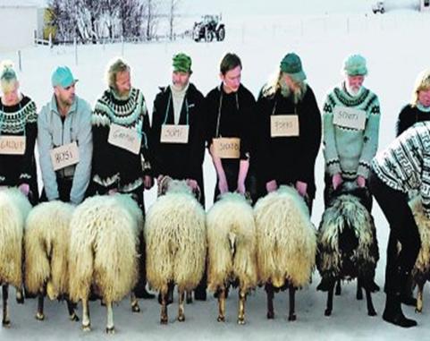 Las mejores pel�culas escandinavas