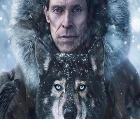 Las mejores pel�culas de perros